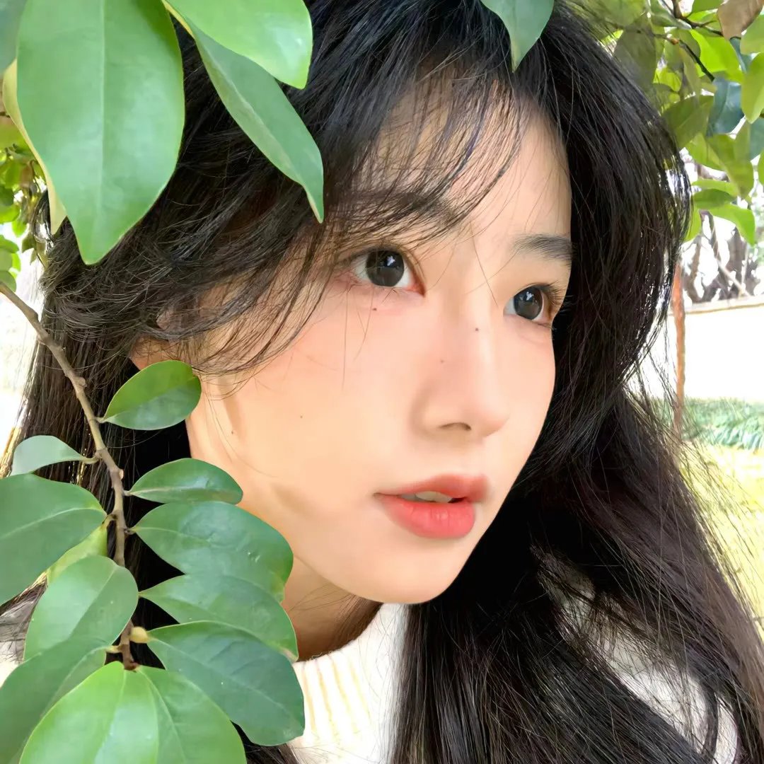 枯木逢春